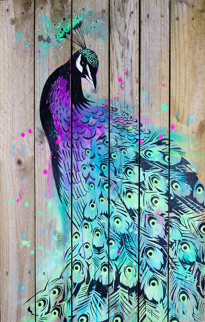 Maria Harding_Peacock
