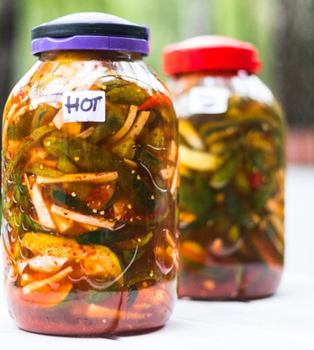 Lacto-Fermentation 101